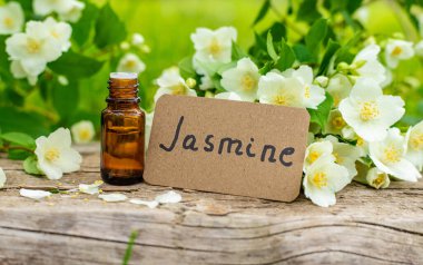 Yasemin yağı ve çiçekler. Seçici odaklanma. Doğa.