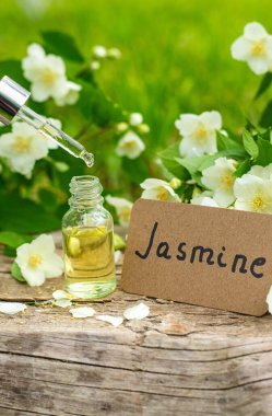 Yasemin yağı ve çiçekler. Seçici odaklanma. Doğa.