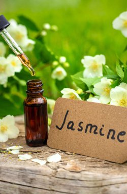 Yasemin yağı ve çiçekler. Seçici odaklanma. Doğa.