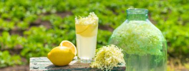 Yaşlı çiçeklerden şampanya. Seçici odaklanma. iç.