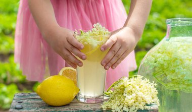 Yaşlı çiçeklerden şampanya. Seçici odaklanma. iç.