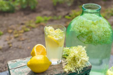 Yaşlı çiçeklerden şampanya. Seçici odaklanma. iç.