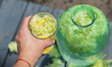 Yaşlı çiçeklerden şampanya. Seçici odaklanma. iç.