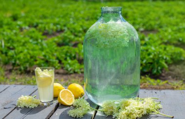 Yaşlı çiçeklerden şampanya. Seçici odaklanma. iç.