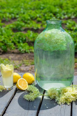 Yaşlı çiçeklerden şampanya. Seçici odaklanma. iç.