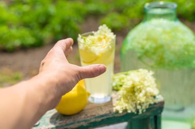 Yaşlı çiçeklerden şampanya. Seçici odaklanma. iç.