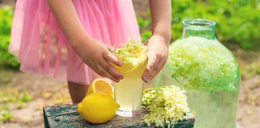 Yaşlı çiçeklerden şampanya. Seçici odaklanma. iç.