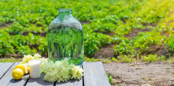 Yaşlı çiçeklerden şampanya. Seçici odaklanma. iç.