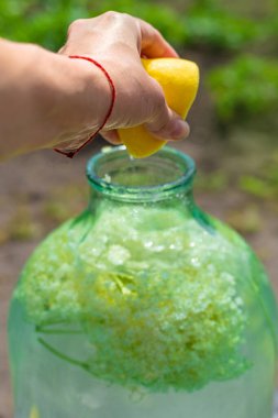 Yaşlı çiçeklerden şampanya. Seçici odaklanma. iç.