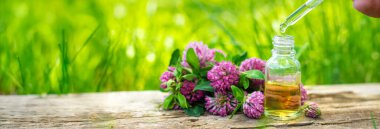 Kırmızı Yonca Özütü ve İlaveleri. Seçici Odaklanma. Doğa.