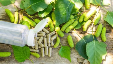 Huş ağacı tomurcukları özütü ve takviyeler. Seçici odaklanma. Doğa.