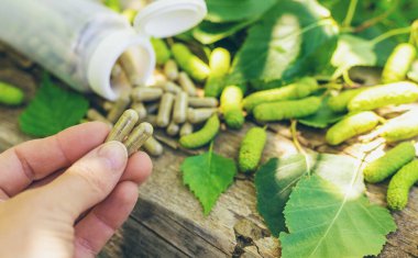Huş ağacı tomurcukları özütü ve takviyeler. Seçici odaklanma. Doğa.