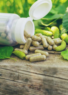 Huş ağacı tomurcukları özütü ve takviyeler. Seçici odaklanma. Doğa.