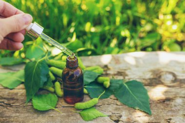 Huş ağacı tomurcukları özütü ve takviyeler. Seçici odaklanma. Doğa.