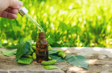 Huş ağacı tomurcukları özütü ve takviyeler. Seçici odaklanma. Doğa.