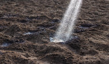 Bahçeyi suluyorum. Seçici odaklanma. Doğa.