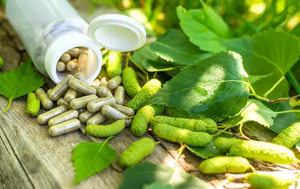 Huş ağacı tomurcukları özütü ve takviyeler. Seçici odaklanma. Doğa.