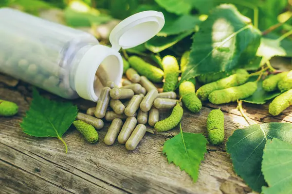 Huş ağacı tomurcukları özütü ve takviyeler. Seçici odaklanma. Doğa.