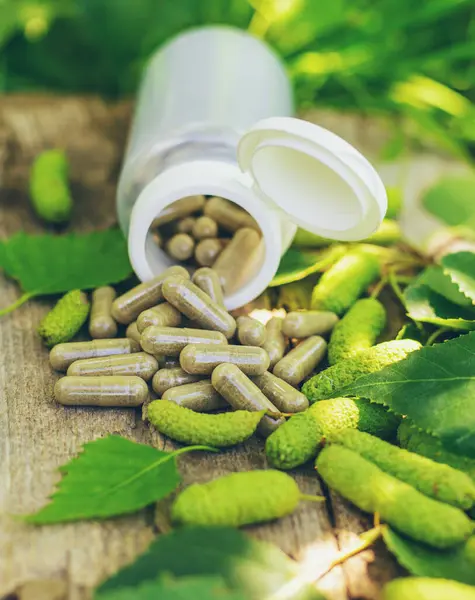 Huş ağacı tomurcukları özütü ve takviyeler. Seçici odaklanma. Doğa.