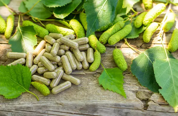 Huş ağacı tomurcukları özütü ve takviyeler. Seçici odaklanma. Doğa.