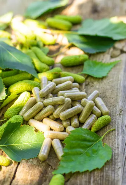 Huş ağacı tomurcukları özütü ve takviyeler. Seçici odaklanma. Doğa.