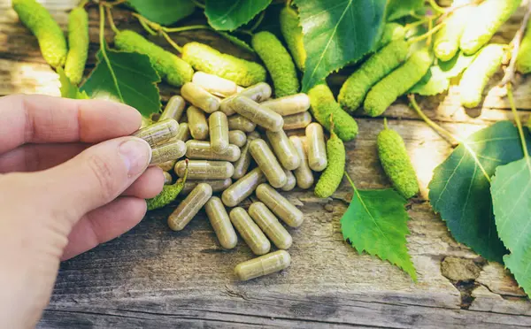 Huş ağacı tomurcukları özütü ve takviyeler. Seçici odaklanma. Doğa.