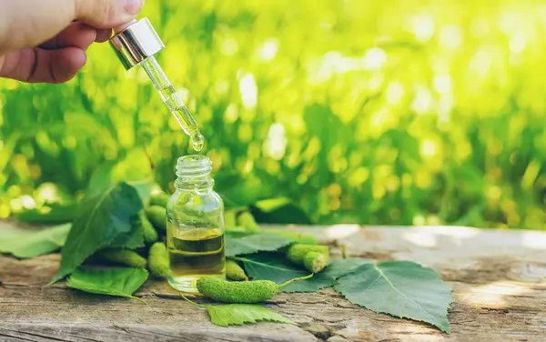 Huş ağacı tomurcukları özütü ve takviyeler. Seçici odaklanma. Doğa.