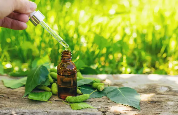 Huş ağacı tomurcukları özütü ve takviyeler. Seçici odaklanma. Doğa.