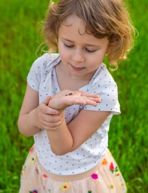 Uğur böceğiyle oynayan çocuk. Seçici odaklanma. Çocuk.