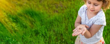 Uğur böceğiyle oynayan çocuk. Seçici odaklanma. Çocuk.