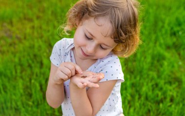 Uğur böceğiyle oynayan çocuk. Seçici odaklanma. Çocuk.