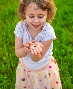 Uğur böceğiyle oynayan çocuk. Seçici odaklanma. Çocuk.