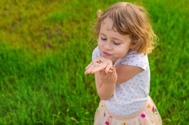 Uğur böceğiyle oynayan çocuk. Seçici odaklanma. Çocuk.