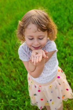 Uğur böceğiyle oynayan çocuk. Seçici odaklanma. Çocuk.