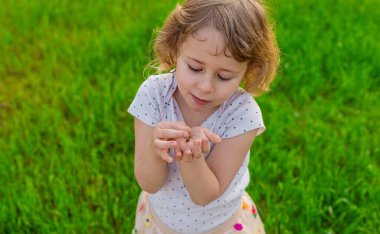 Uğur böceğiyle oynayan çocuk. Seçici odaklanma. Çocuk.