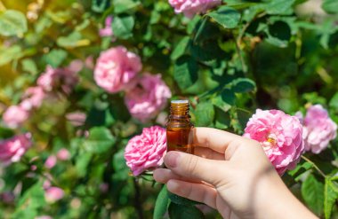 Şişede gül yağı var. Seçici odaklanma. Spa.