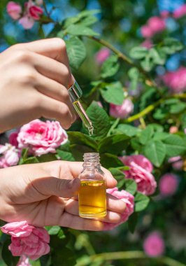 Şişede gül yağı var. Seçici odaklanma. Spa.