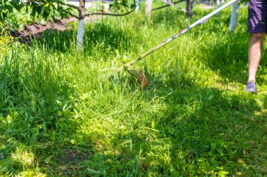 Bahçedeki çimleri biçin. Seçici odaklanma. Doğa.