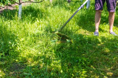 Bahçedeki çimleri biçin. Seçici odaklanma. Doğa.