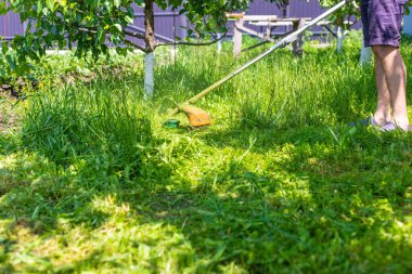 Bahçedeki çimleri biçin. Seçici odaklanma. Doğa.