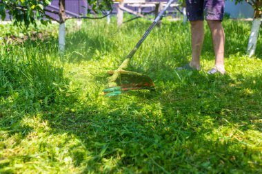 Bahçedeki çimleri biçin. Seçici odaklanma. Doğa.
