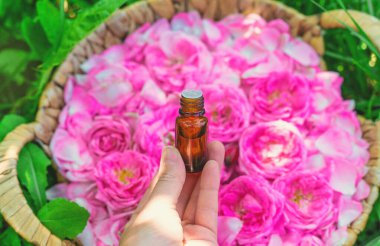 Şişede gül yağı var. Seçici odaklanma. Spa.