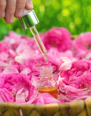 Şişede gül yağı var. Seçici odaklanma. Spa.