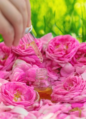 Şişede gül yağı var. Seçici odaklanma. Spa.