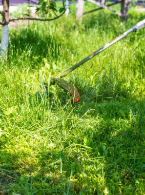 Bahçedeki çimleri biçin. Seçici odaklanma. Doğa.