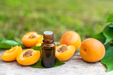 Kayısı yağı şişede. Seçici odaklanma. Yiyecek..