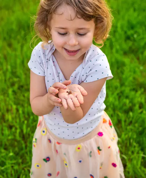 Uğur böceğiyle oynayan çocuk. Seçici odaklanma. Çocuk.