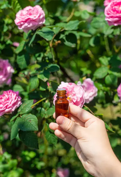 Şişede gül yağı var. Seçici odaklanma. Spa.