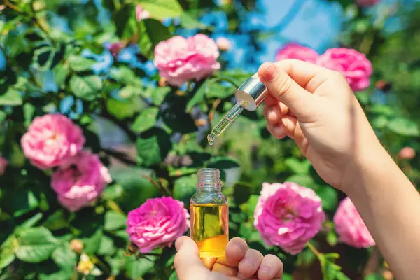 Şişede gül yağı var. Seçici odaklanma. Spa.