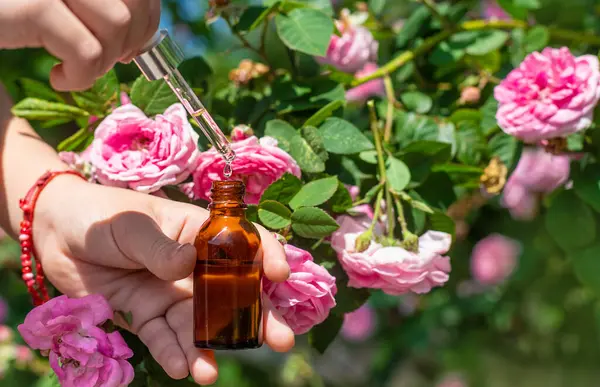 Şişede gül yağı var. Seçici odaklanma. Spa.